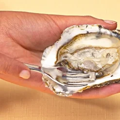 Sale Tempsl 6 fourchettes à huîtres