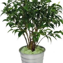 Best Tempsl 100 pierres phosphorescentes : «vertes» ou «bleues»