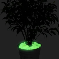 Best Tempsl 100 pierres phosphorescentes : «vertes» ou «bleues»