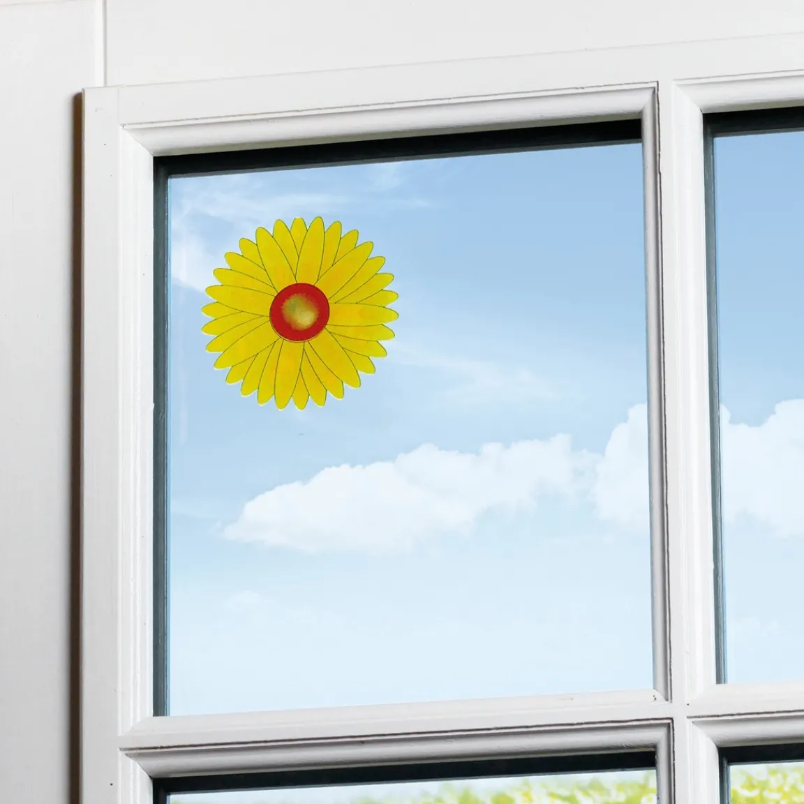 New Tempsl 20 tournesols attrape-mouches collants