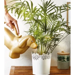 New Tempsl Arrosoir chat ou chien