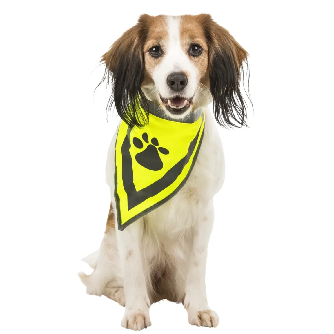 New Tempsl Bandana sécurité pour chien taille S/M