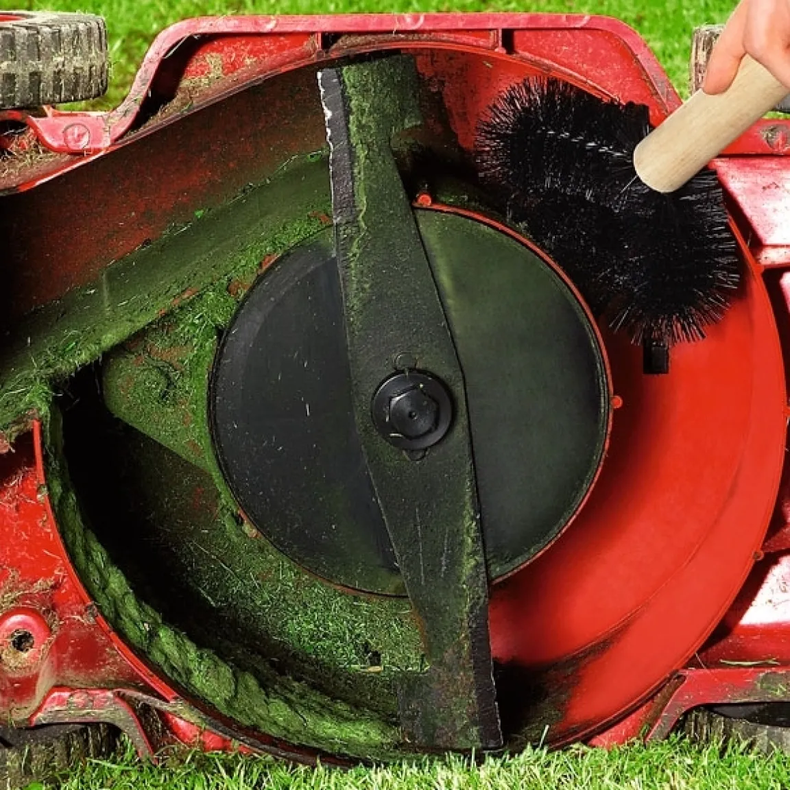 Tempsl Brosse tondeuse