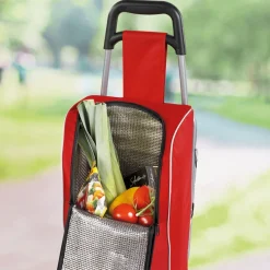 Sale Tempsl Chariot de courses