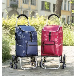 Hot Tempsl Chariot de courses bordeaux