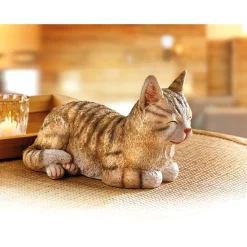 Best Tempsl Chat endormi