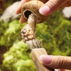 Online Tempsl Couteau champignon