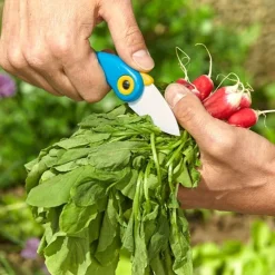 Online Tempsl Couteau céramique bleu