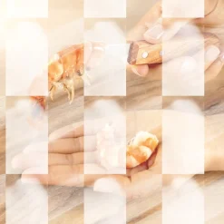 Online Tempsl Couteau décortiqueur de crevettes