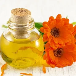 Best Tempsl Crème à la fleur de soucis