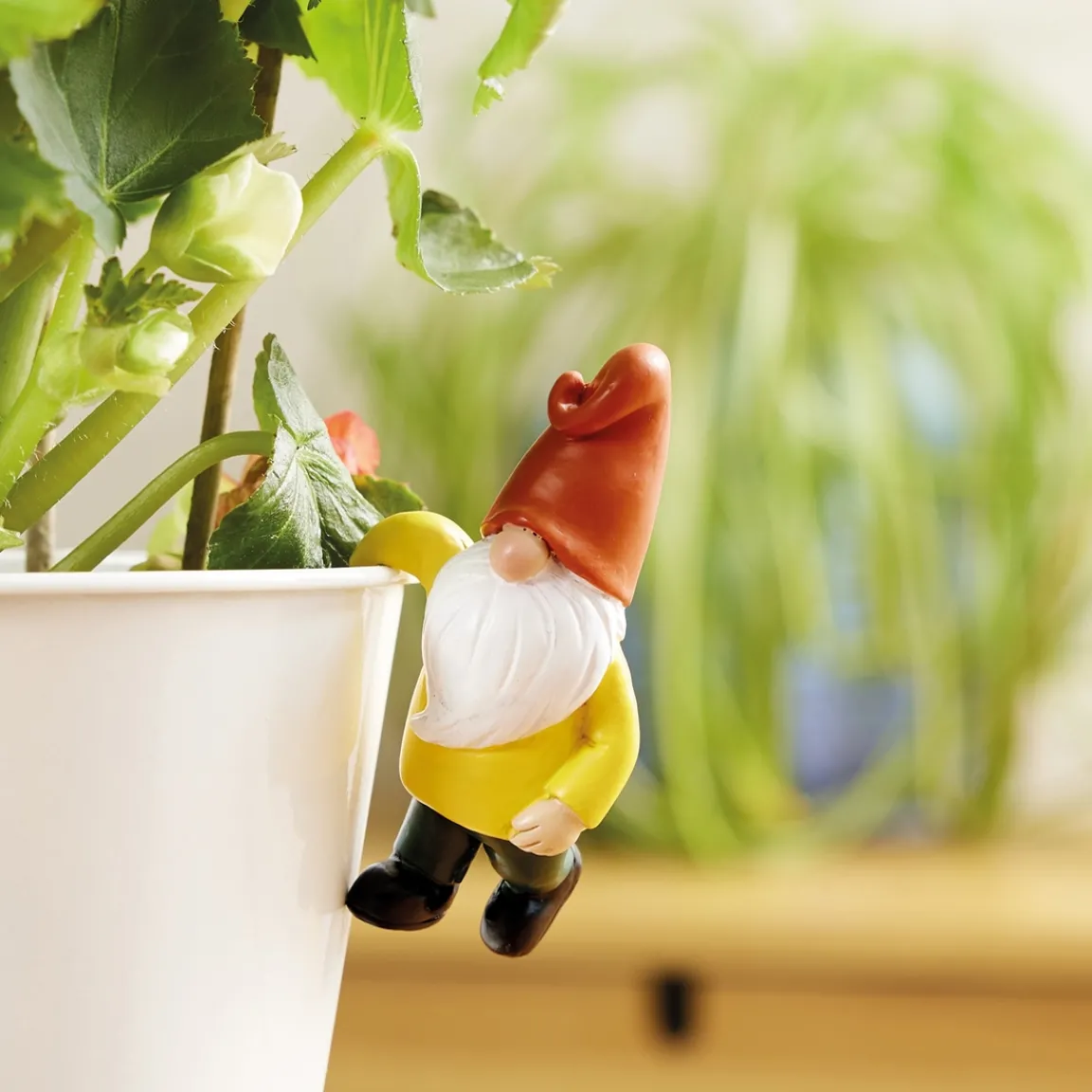 Clearance Tempsl Décoration pour pot