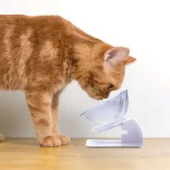 Discount Tempsl Duo de gamelles surélevées forme chat