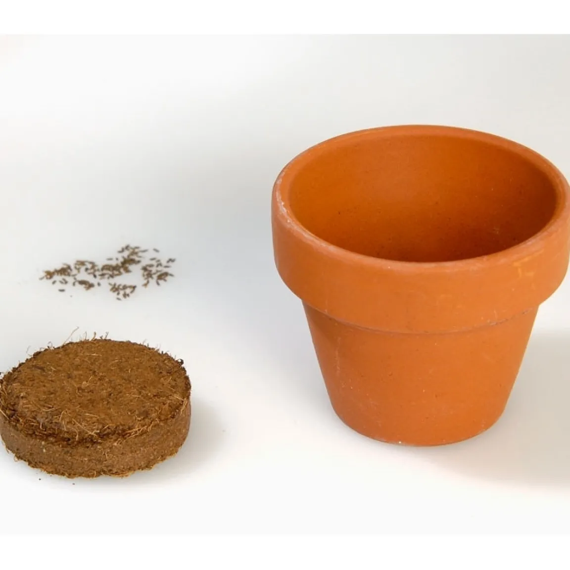 Clearance Tempsl Edelweiss