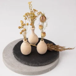 Clearance Tempsl Fleurs séchées Naturelles