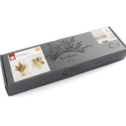 Clearance Tempsl Fleurs séchées Naturelles