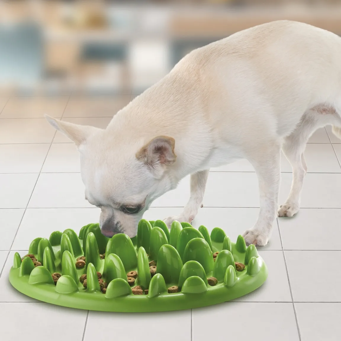 Online Tempsl Gamelle anti-gloutonnerie Chien ou chat