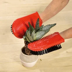 Hot Tempsl Gant pour cactus
