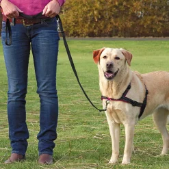 Clearance Tempsl Harnais anti-traction - 3 tailles