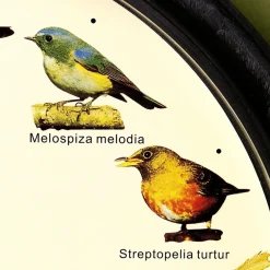 Clearance Tempsl Horloge musicale oiseaux