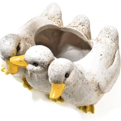 New Tempsl Jardinière canetons