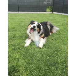 Online Tempsl Jouet pour chien Crunchy Bone