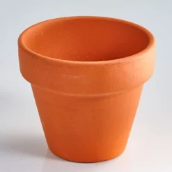 Online Tempsl Kit trèfles à 4 feuilles