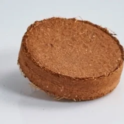 Online Tempsl Kit trèfles à 4 feuilles