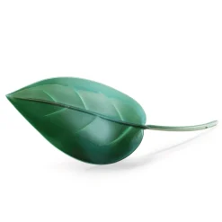 Best Tempsl Lot de 2 feuilles arroses plantes