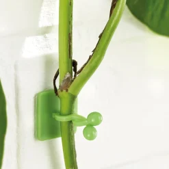 Hot Tempsl Lot de 50 guides de croissance