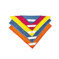 Discount Tempsl Lot de 5 microfibres multisurfaces