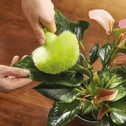 Sale Tempsl Lot de 2 pompons anti-poussière