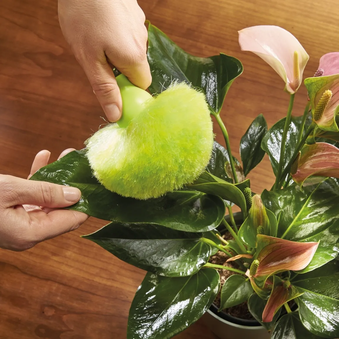 Sale Tempsl Lot de 2 pompons anti-poussière