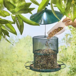 Sale Tempsl Mangeoire oiseaux