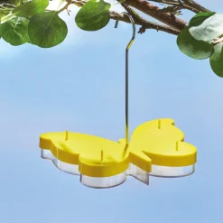 Clearance Tempsl Mangeoire pour papillons