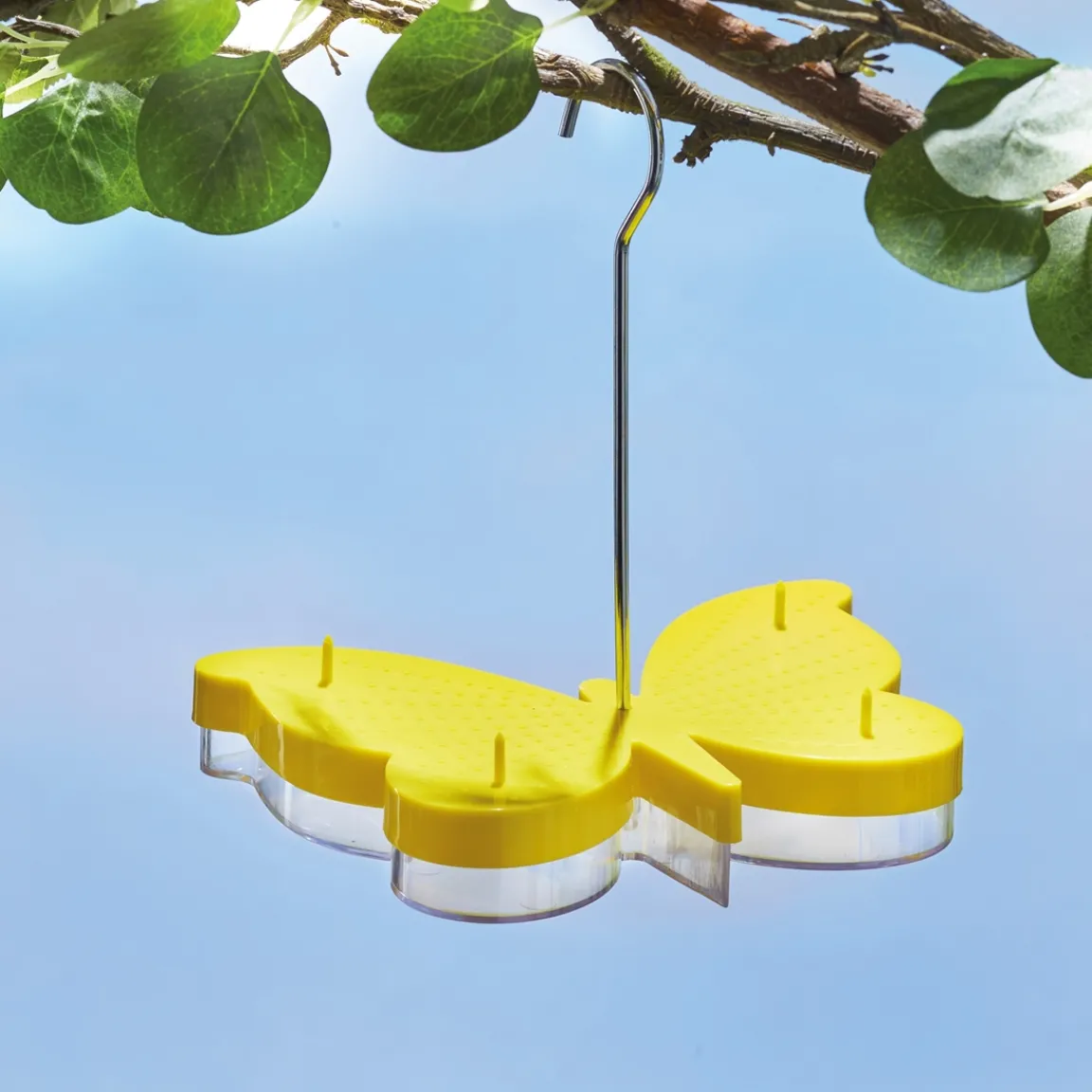 Clearance Tempsl Mangeoire pour papillons