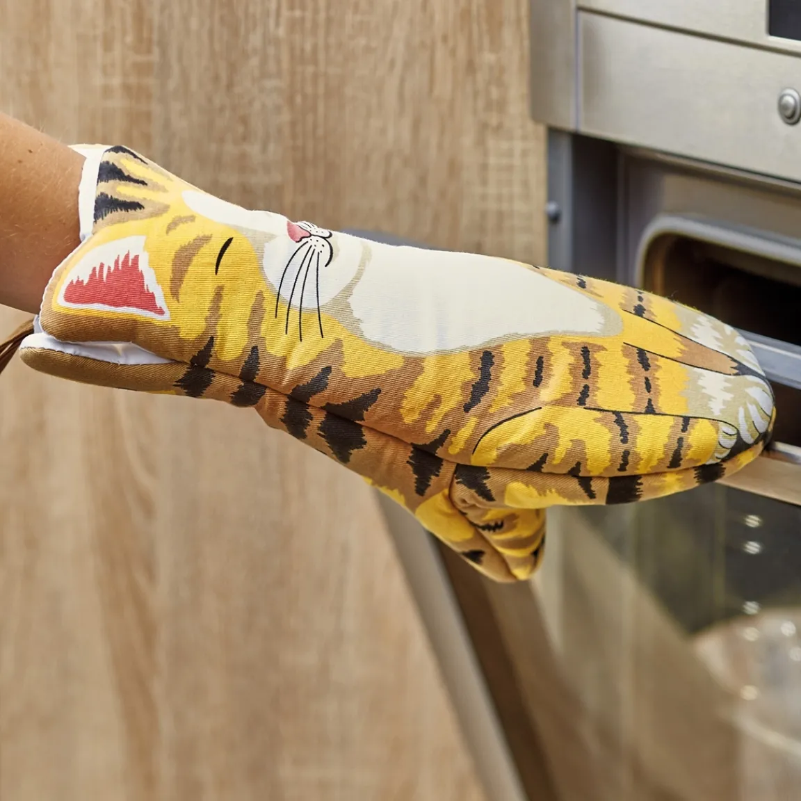 Clearance Tempsl Manique chat roux tigré