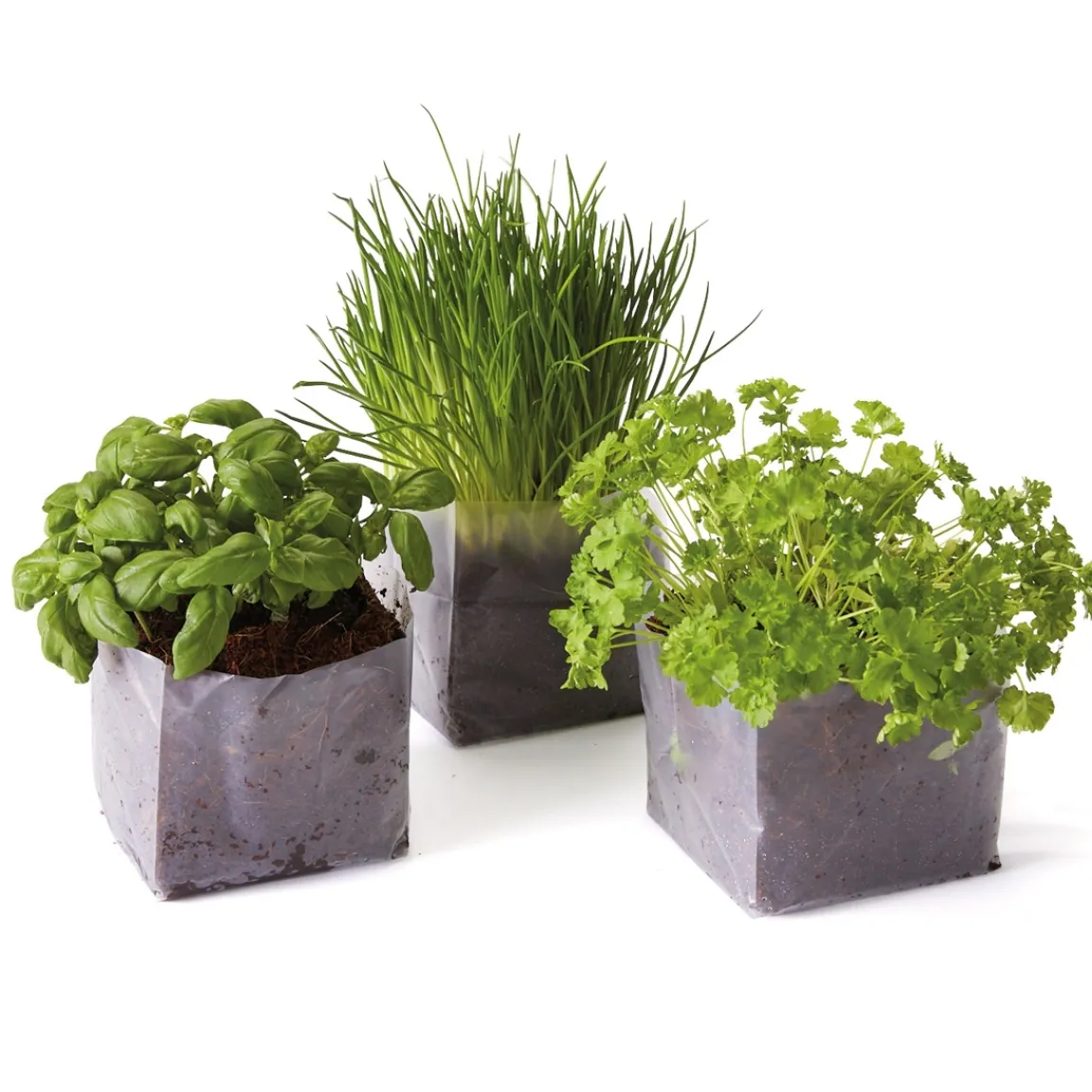 Clearance Tempsl Mon mini potager