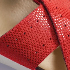 Discount Tempsl Mules scratchées : divers coloris