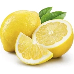 Outlet Tempsl Nettoyant lave-vaisselle