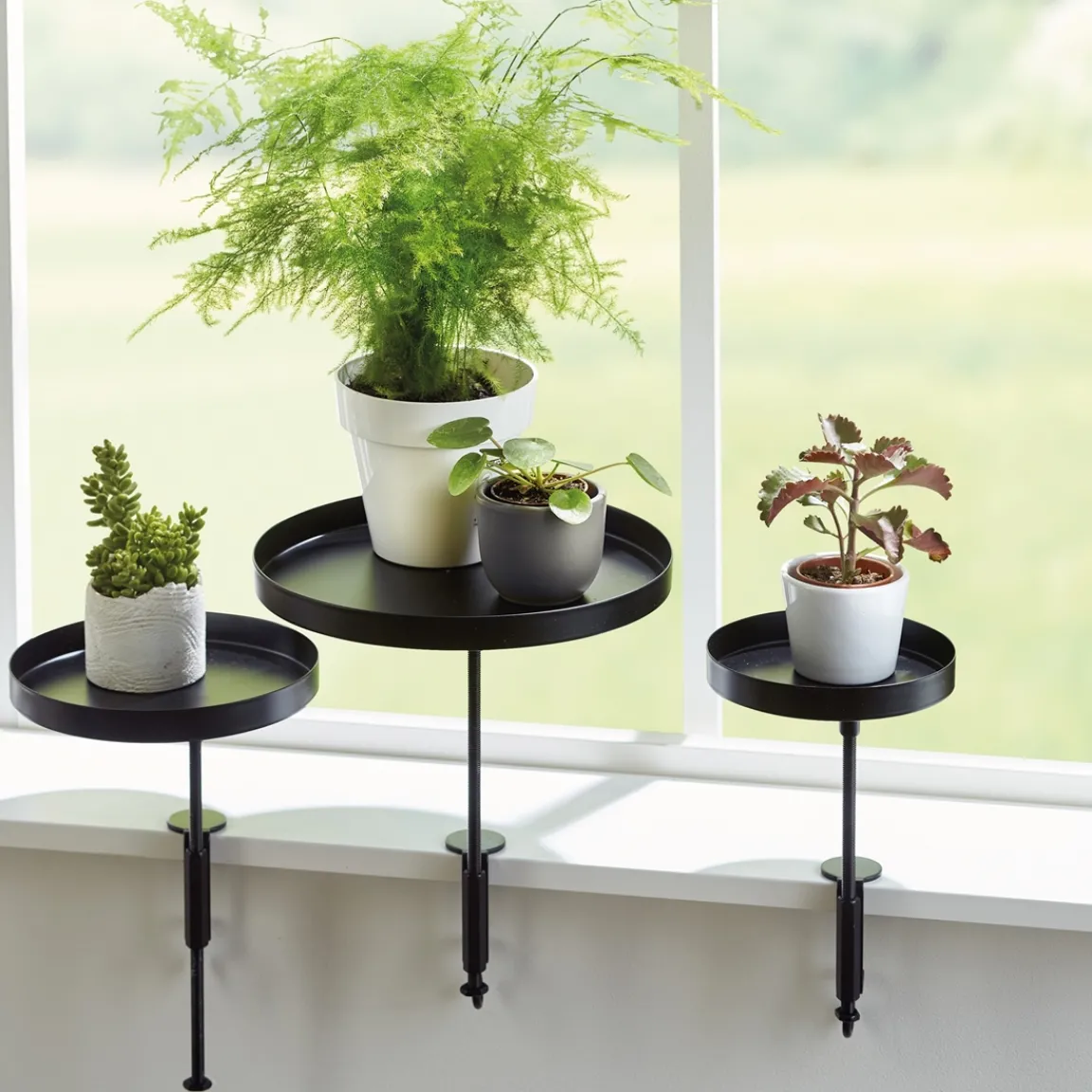 Outlet Tempsl Noir petit modèle