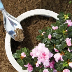 Sale Tempsl Outil de jardinage multifonctions