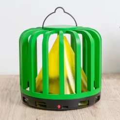 Sale Tempsl Piège à insectes Fly cactus