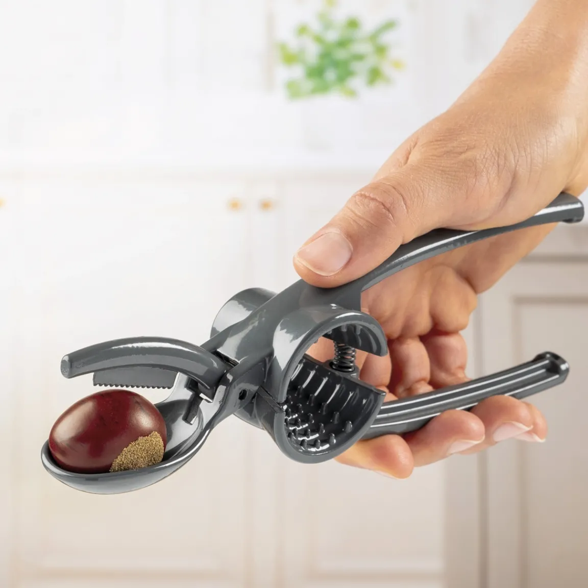 Tempsl Pince à châtaignes - Casse noix