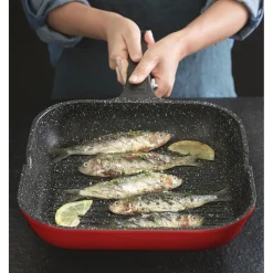 Tempsl Poêle grill fonte d'aluminium Pradel France ®