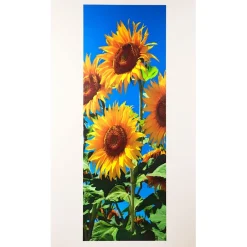 Sale Tempsl Poster de porte tournesols