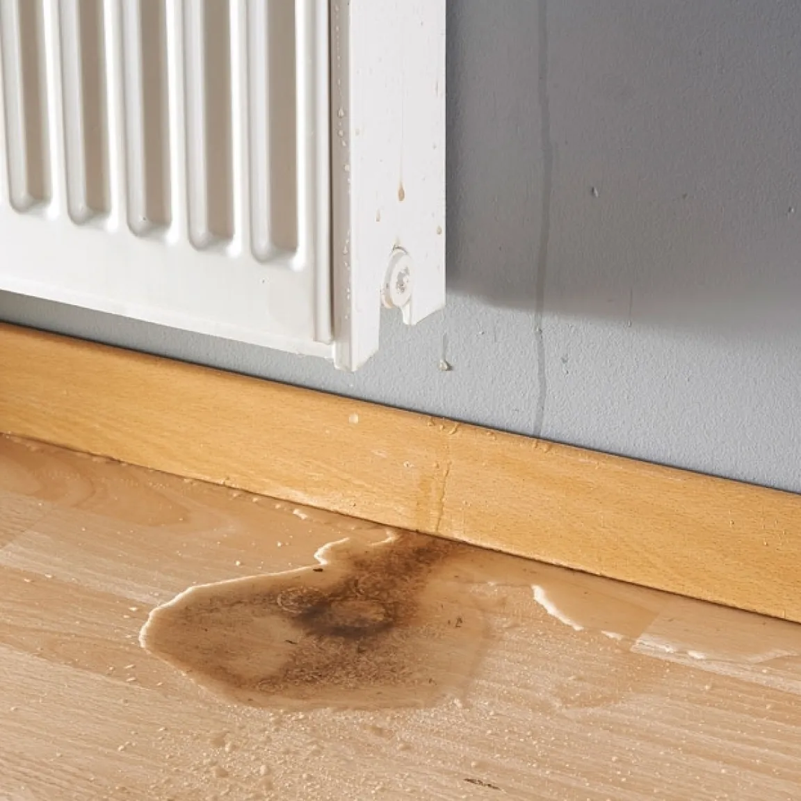 Clearance Tempsl Purgeur de Radiateur