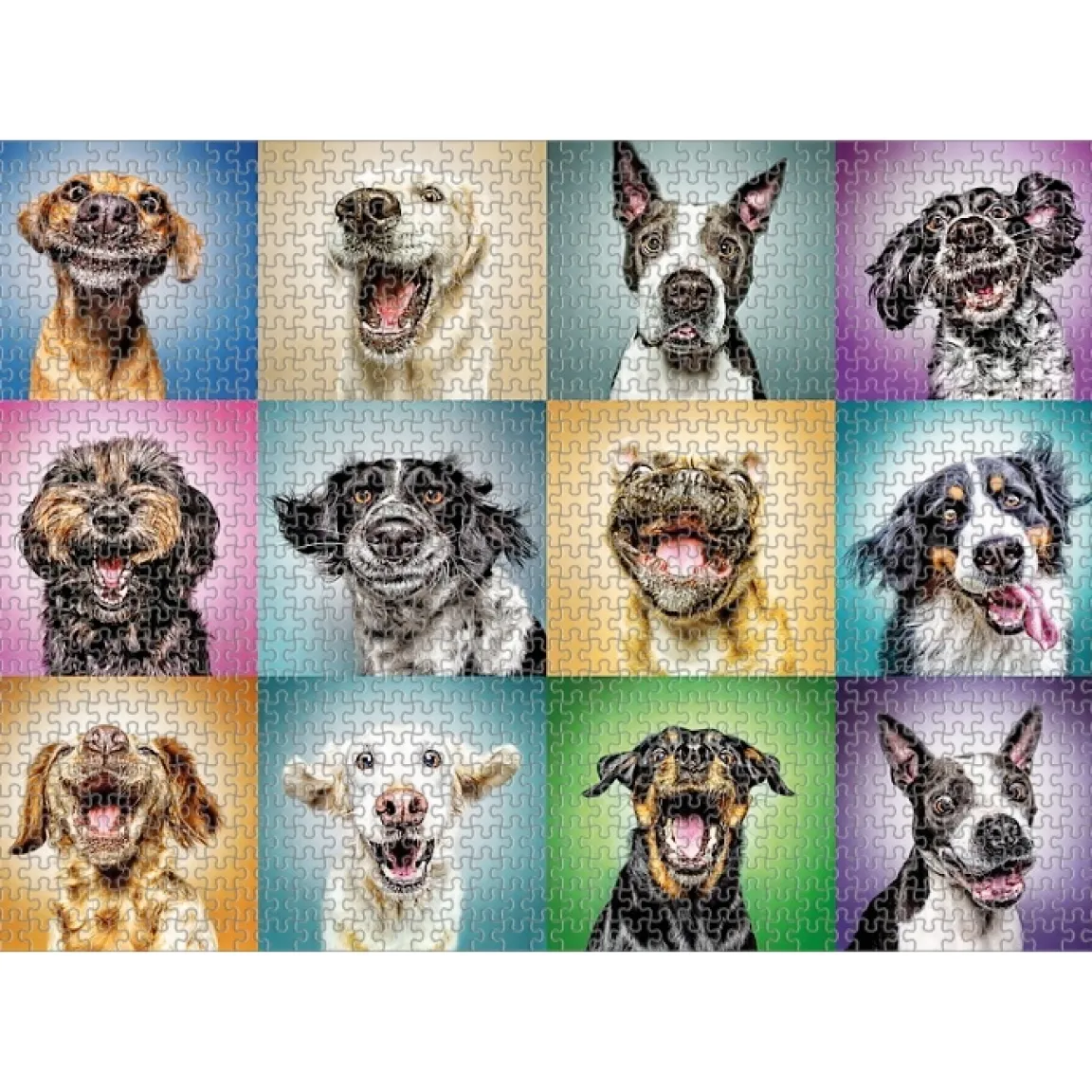 Sale Tempsl Puzzle 1000 pièces Portraits amusants chiens