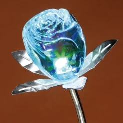 Discount Tempsl Rose changement de couleur