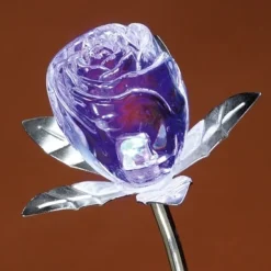 Discount Tempsl Rose changement de couleur