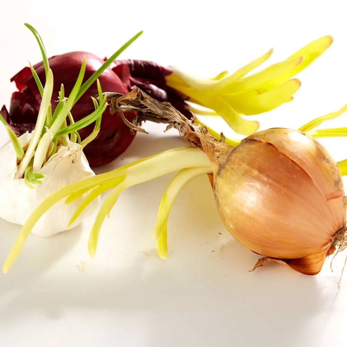 Tempsl Sac distributeur